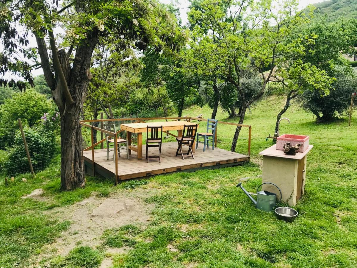 Polveraia B&B Giuncaia17 מראה חיצוני תמונה
